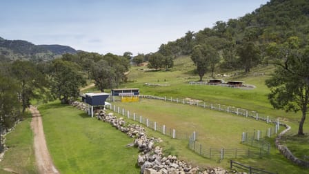 1017 Bluff River Road Sandy Flat NSW 2372 - Image 3