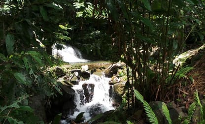 144 Azzopardi Road Japoonvale QLD 4856 - Image 1