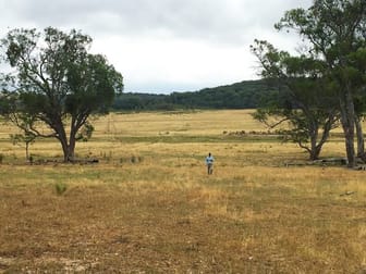 Click to view all images 79 Montaza Road Mudgee NSW 2850 - Image 3