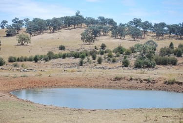 Watson Street Molong NSW 2866 - Image 2