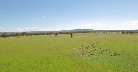 Roseneath 2004 Rangers Valley Road Glen Innes NSW 2370 - Image 3