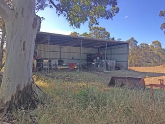 3988 Jalbarragup Road Walsall WA 6280 - Image 3