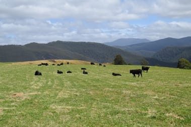 539 Warringa Road Preston TAS 7315 - Image 3