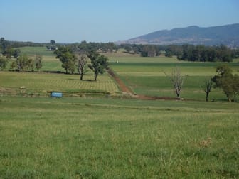 Limestone Park, 50 Kurrajong Place Tamworth NSW 2340 - Image 1