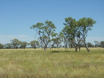 Click to view all images Muttaburra QLD 4732 - Image 1