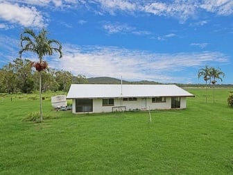 230 Pace Road Rollingstone QLD 4816 - Image 3