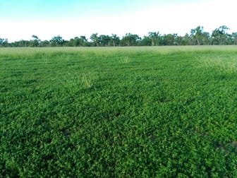 CORONATION Gregory Development Road Charters Towers QLD 4820 - Image 2