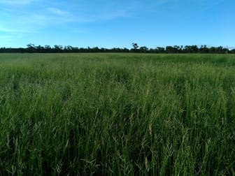 CORONATION Gregory Development Road Charters Towers QLD 4820 - Image 3