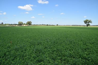 'Bunnalma' 14R Nulla Road Dubbo NSW 2830 - Image 1