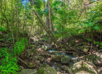 Mullumbimby Creek NSW 2482 - Image 3