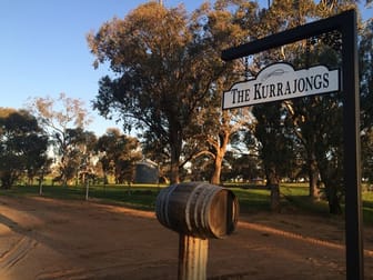 919 Iandra Road Greenethorpe NSW 2809 - Image 2