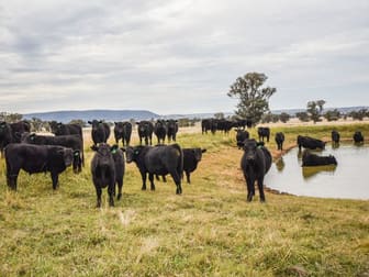 3374 Murringo Rd Young NSW 2594 - Image 1