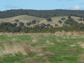 113 Mt Lonarch Road Mount Lonarch VIC 3468 - Image 2