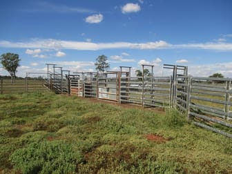 3924 MOUNT ABUNDANCE ROAD Roma QLD 4455 - Image 3