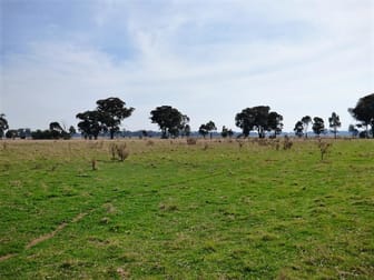 Click to view all images 116 Grogan Road Stockinbingal NSW 2725 - Image 2