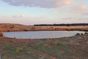 Click to view all images Mid Western Highway West Wyalong NSW 2671 - Image 3