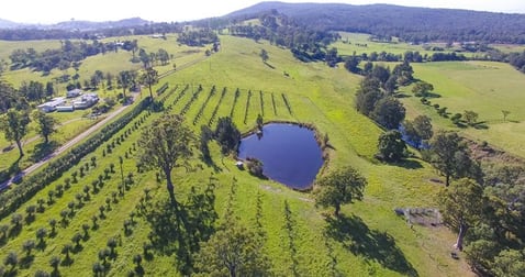 237 Fishers Hill Road Vacy NSW 2421 - Image 1
