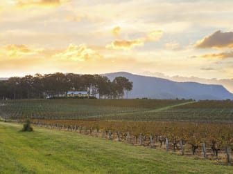 534 Oakey Creek Road Pokolbin NSW 2320 - Image 1