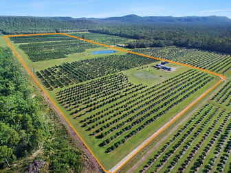 Mororo NSW 2469 - Image 1