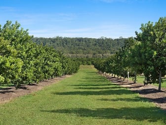 Mororo NSW 2469 - Image 3