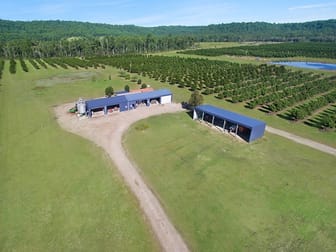 Mororo NSW 2469 - Image 2