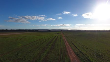 Oaklands & Katika Gunningbland Rd Parkes NSW 2870 - Image 2