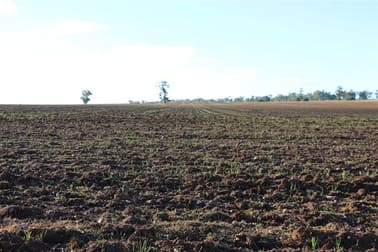 Oaklands & Katika Gunningbland Rd Parkes NSW 2870 - Image 3