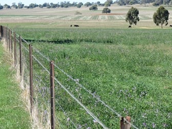 223 Highfield Lane Geurie NSW 2818 - Image 1