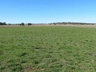 223 Highfield Lane Geurie NSW 2818 - Image 3