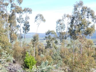 Lot 211 FOGGY FOREST RD Anembo NSW 2621 - Image 1