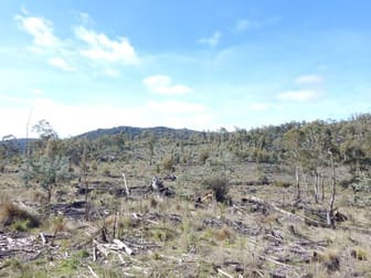 Lot 211 FOGGY FOREST RD Anembo NSW 2621 - Image 3