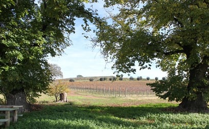 Click to view all images 389 Heathcote-Rochester Road Heathcote VIC 3523 - Image 3