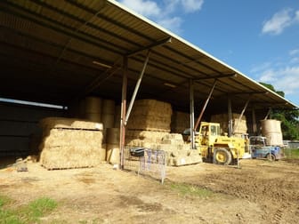 Rural & Farming  business for sale in Carrs Creek - Image 2