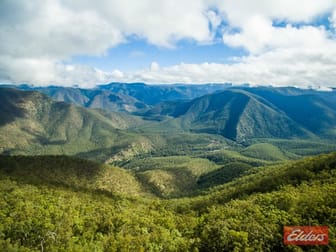 2540 Raspberry Road Metz NSW 2350 - Image 1