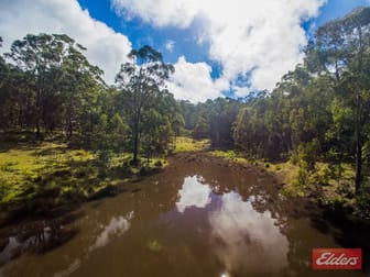 2540 Raspberry Road Metz NSW 2350 - Image 2