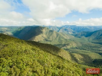 2540 Raspberry Road Metz NSW 2350 - Image 3