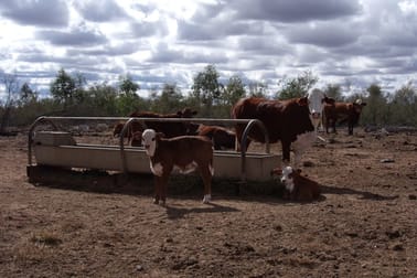 24265 Moonie Highway St George QLD 4487 - Image 2