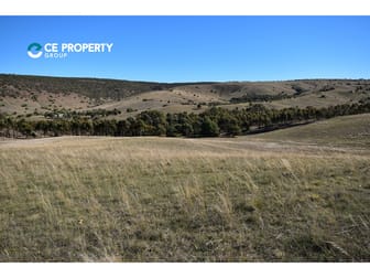 Lot 104 Mine Road Palmer SA 5237 - Image 1