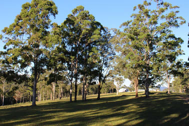 LOT 22 Upper Avon Road Gloucester NSW 2422 - Image 3