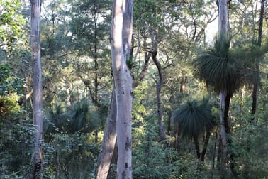 LOT 110 Upper Avon Road Gloucester NSW 2422 - Image 2