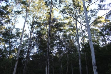 LOT 110 Upper Avon Road Gloucester NSW 2422 - Image 3