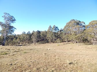 221 Greenlands Road Nimmitabel NSW 2631 - Image 1
