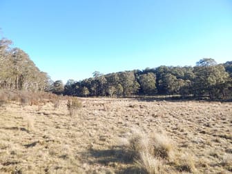 221 Greenlands Road Nimmitabel NSW 2631 - Image 2