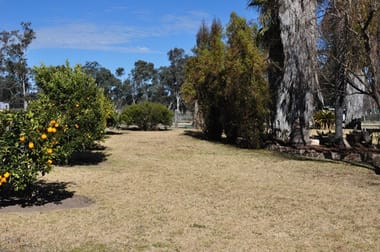 298 "Carinya" Racecourse Road Forbes NSW 2871 - Image 2