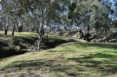 298 "Carinya" Racecourse Road Forbes NSW 2871 - Image 3