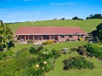 202 Caniaba Road Caniaba NSW 2480 - Image 2
