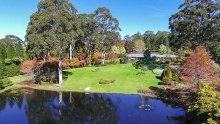 4-10  Beowang Road Mount Wilson NSW 2786 - Image 3