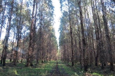 Click to view all images 2125 Castra Road Upper Castra TAS 7315 - Image 1