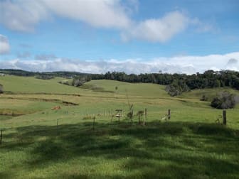 47 Lex Creek Road Crediton QLD 4757 - Image 1