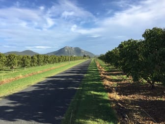 Bowen QLD 4805 - Image 1